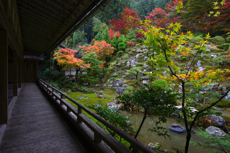 秋雨の常照皇寺_e0051888_20164951.jpg