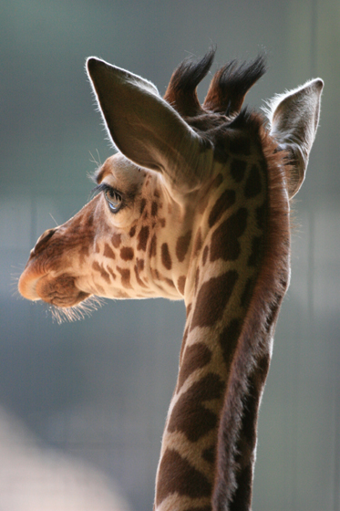 キラキラ_b0016600_2491.jpg