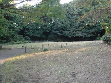 冬支度しました_b0049307_17371284.jpg