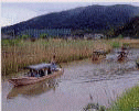 e0093407_13355139.jpg