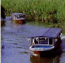 e0093407_13362383.jpg