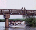 e0093407_1336858.jpg
