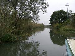e0093407_14153632.jpg