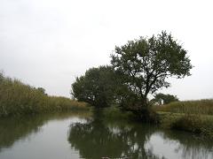 e0093407_14192472.jpg