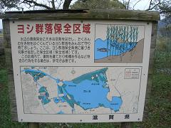 e0093407_14225437.jpg