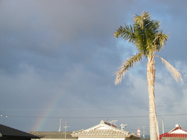 a0030713_1944117.jpg