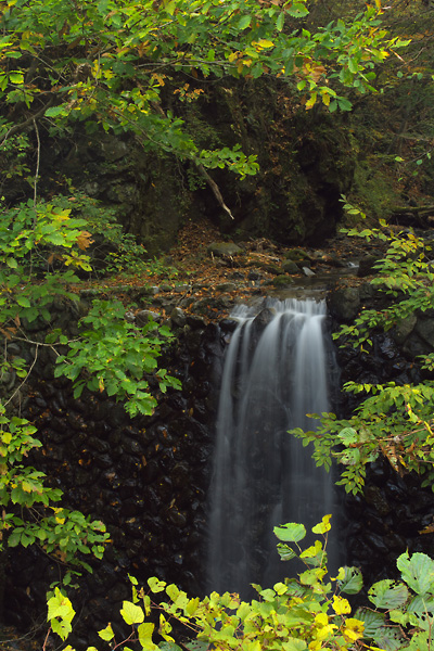 中津峡の紅葉_b0010915_22323379.jpg