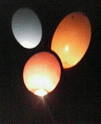 b0062019_658588.jpg