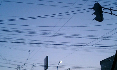 b0097729_0544763.jpg