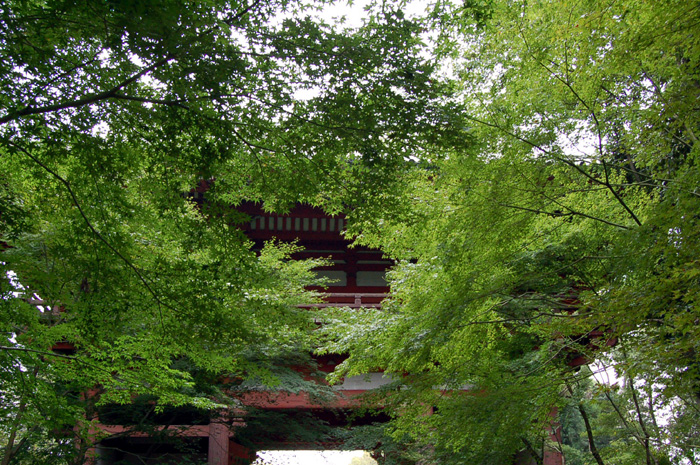 京都の建築・文化に触れる旅⑦～KYOTO IN GREEN_c0081530_15371168.jpg