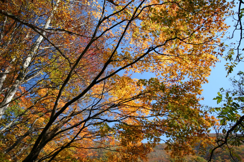 f0017530_8142978.jpg