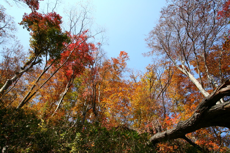 宝川温泉－２（ハプニング）_f0017530_83461.jpg