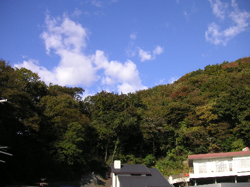 二日酔いの朝に_c0048132_10104714.jpg