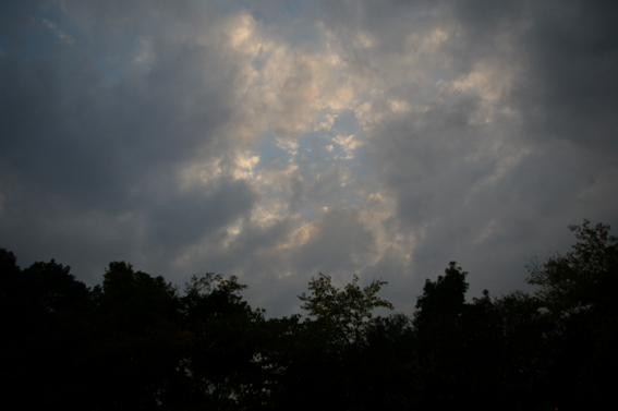 e0037235_8465512.jpg