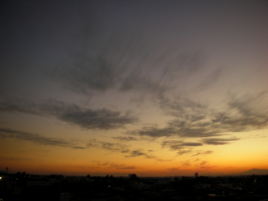 a0072337_212916100.jpg