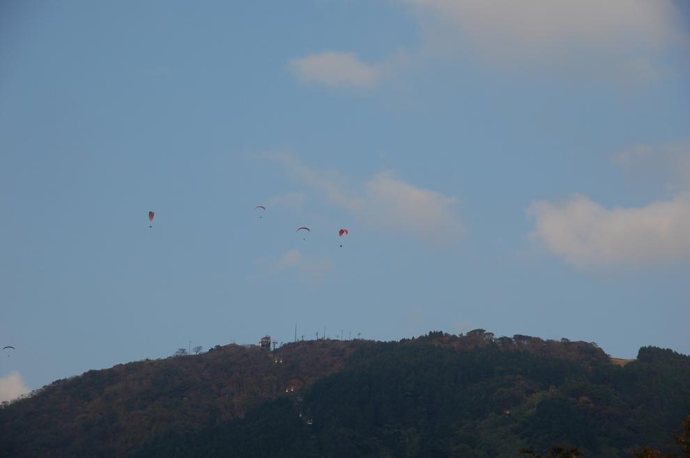 白山４　平泉寺白山神社そして白山ひめ神社_a0085537_0334231.jpg