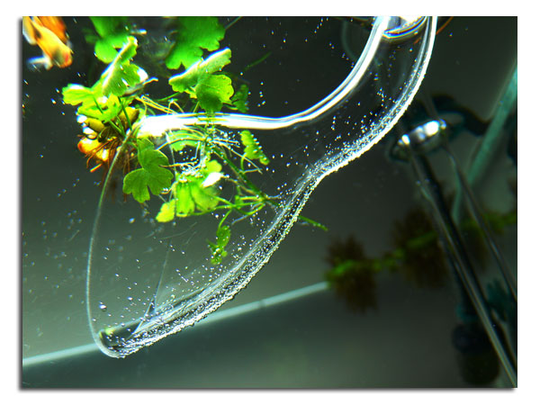 d0042049_20121353.jpg