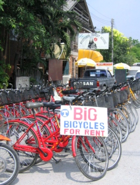 自転車でアユタヤーの遺跡めぐり。　－Ayutthaya－_b0025850_14284646.jpg