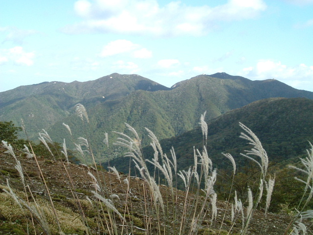 c0097754_1875655.jpg