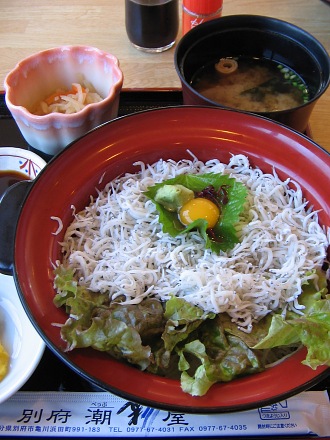 別府湾の“純白”鮮丼・・・｢釜あげちりめん丼｣_c0001578_0251469.jpg