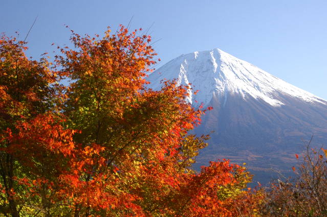 紅葉と富士山シリーズ　　１_e0087881_2115431.jpg