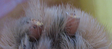 d0014690_16255910.jpg