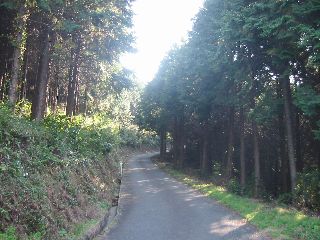c0087392_20403395.jpg