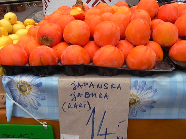 f0038407_5253118.jpg