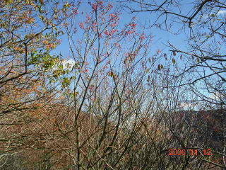 a0092212_13391148.jpg