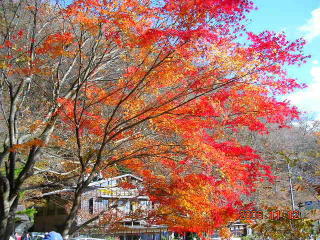 a0092212_13524987.jpg