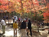 c0066514_23165377.jpg
