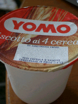 ヨーグルト　　　Il yoghurt _c0086221_1031338.jpg