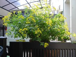 f0000521_6485970.jpg