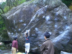 e0054423_315582.jpg
