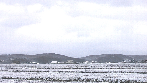 a0064927_213457.jpg