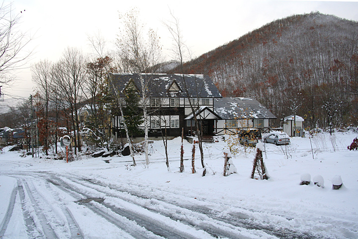 d0012134_1551161.jpg