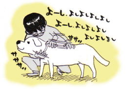 06 11 14 ダメ犬しつけ王選手権 溺れるかっぱ日記