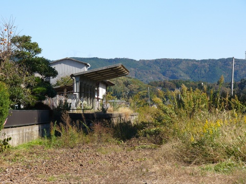 f0068341_2154136.jpg