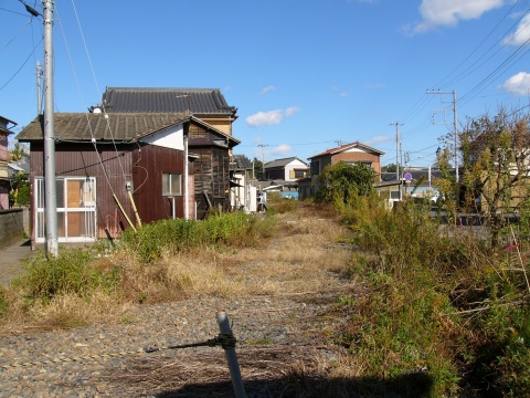 f0068341_221421.jpg