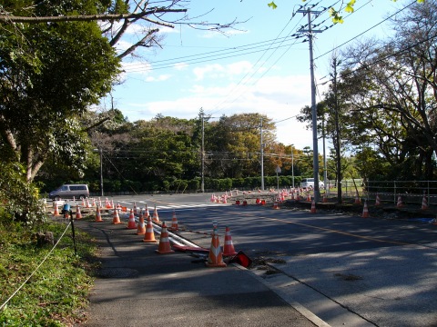 f0068341_2264961.jpg