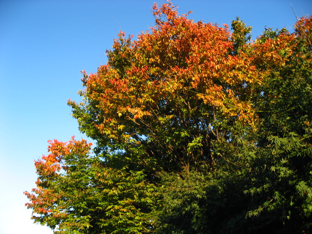 b0097747_10535139.jpg
