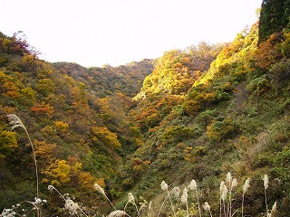 魚沼の山の初冠雪_a0084753_15163360.jpg
