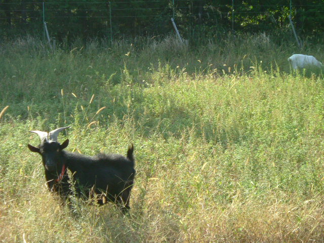 b0078159_1130269.jpg