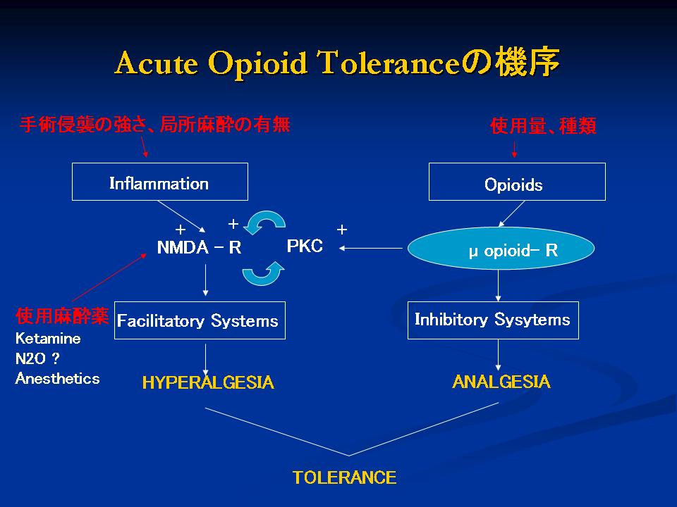 レミフェンタニル入門(6) : 電脳麻酔ブログ