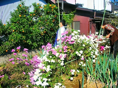 c0078480_10421497.jpg