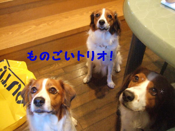 c0075585_1423482.jpg