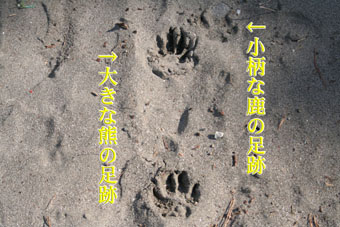 e0072606_1839065.jpg