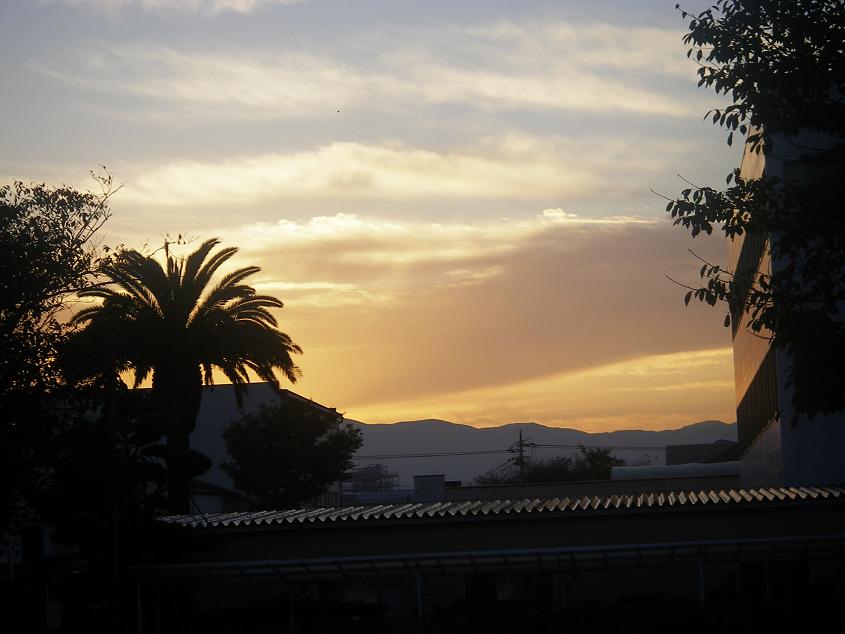 c0097309_859088.jpg