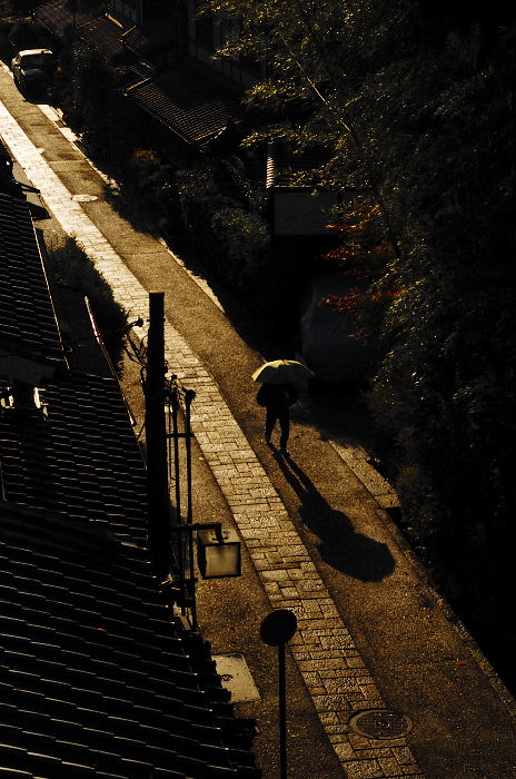 秋の愛宕念仏寺・パート1_f0032011_22491311.jpg