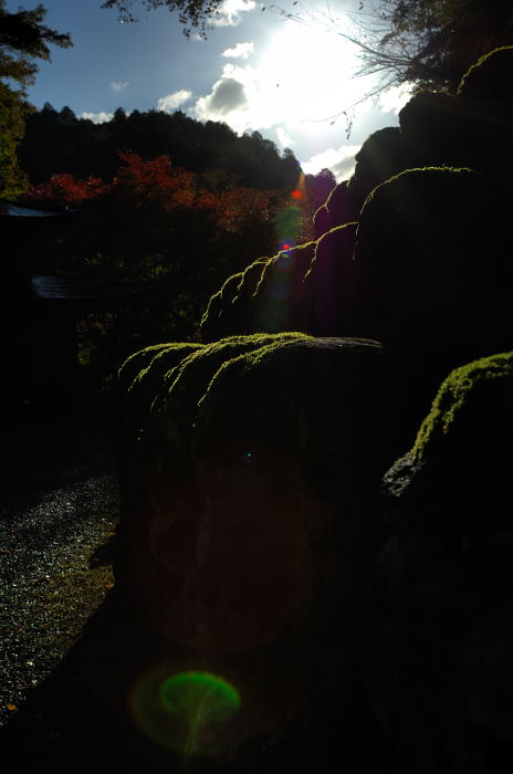 秋の愛宕念仏寺・パート1_f0032011_22502864.jpg